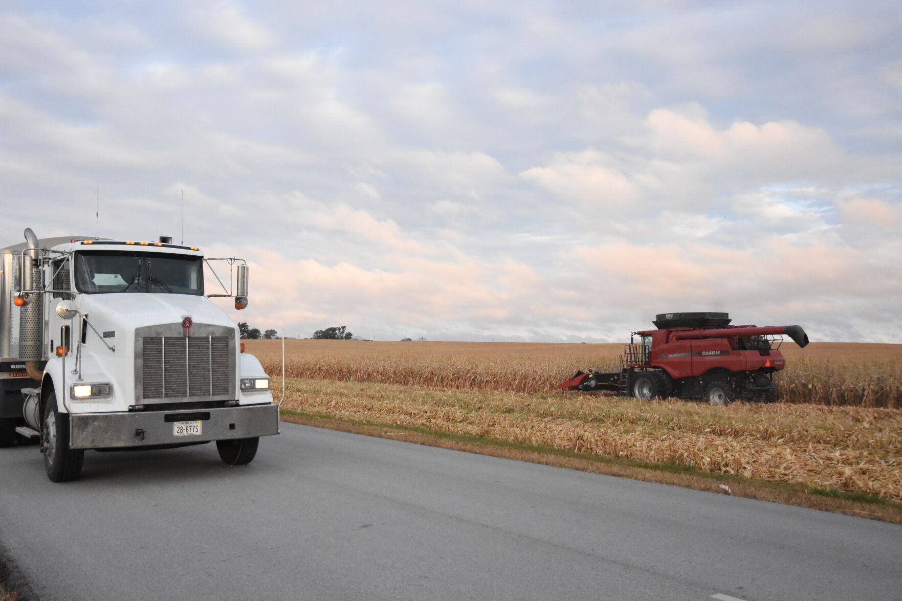 Rempel Harvest (31).JPG